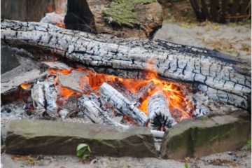 Natuurhuisje Wijchens Ven (10)